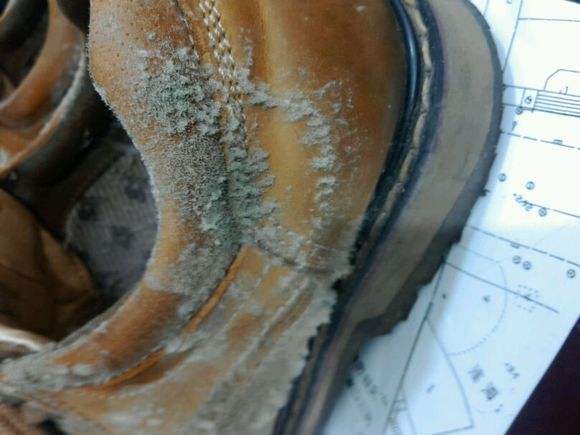 鞋子發(fā)霉.jpg 鞋子發(fā)霉.jpg